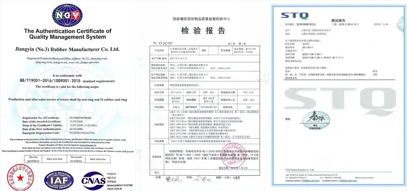 Đặc điểm kỹ thuật độc đáo của gioăng dầu cho hệ thống thủy lực chống axit - kiềm hình ảnh 14-description