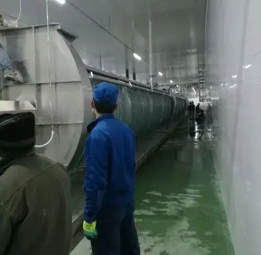 Máy nhổ lông cổ vịt chất lượng cao cho việc chế biến thịt gia cầm tại trang trại hình ảnh 12-description