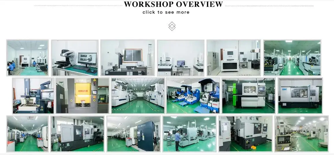 Băng tải vít nhựa an toàn cho môi trường, đạt chứng nhận của EPA dành cho thiết bị trong lĩnh vực y tế