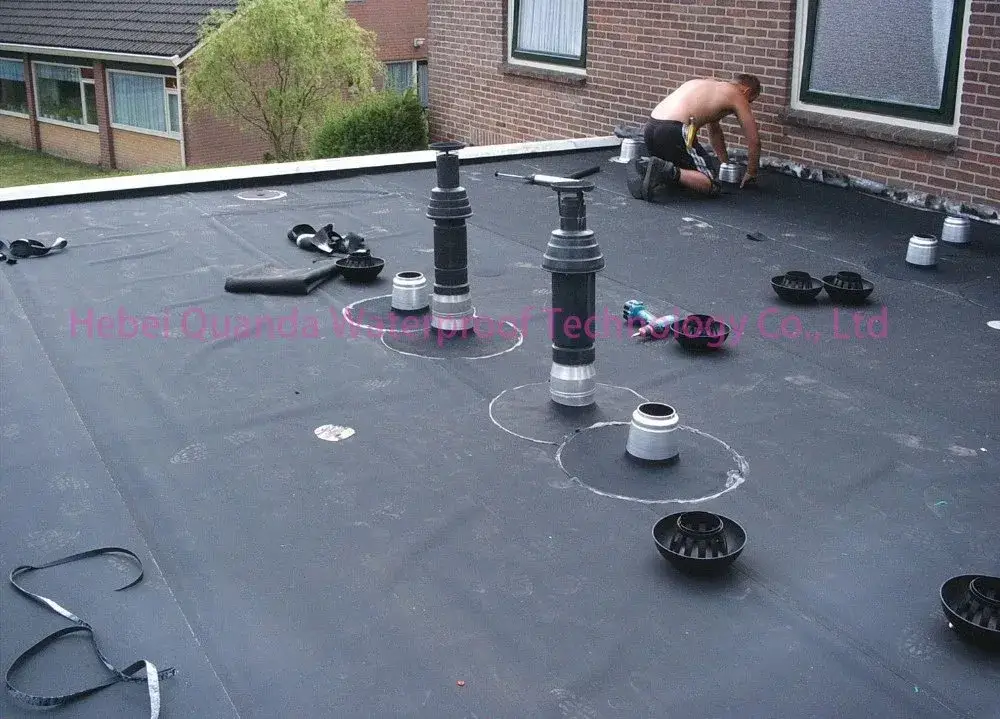 Mái lợp cao su EPDM - Giải pháp lý tưởng cho việc lót ao nuôi cá
