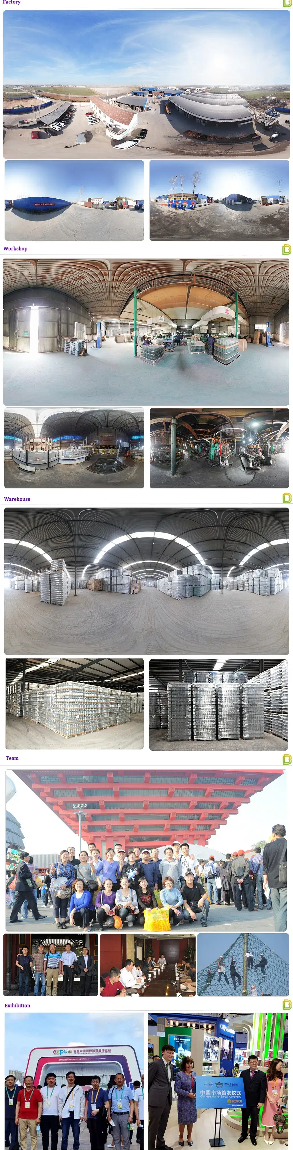 Bình thủy tinh cao cấp, thiết kế miệng hẹp và hoa văn nổi độc đáo hình ảnh 19-description