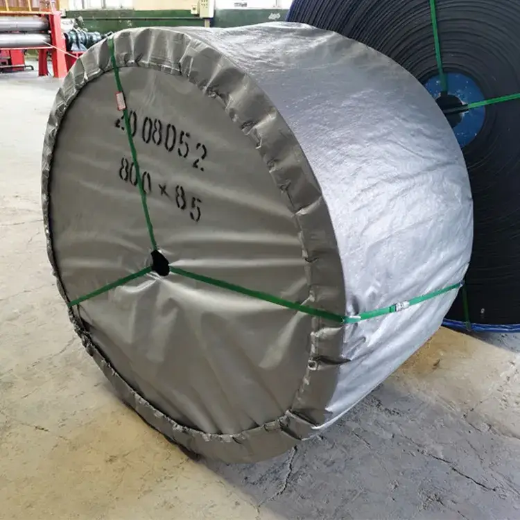 Thiết bị băng tải vải cao su chất lượng cao mỏ Ply 800 4 hình ảnh 15-description