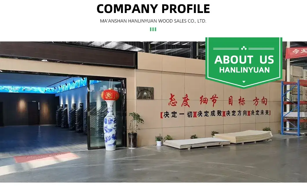 Giường Châu Âu với Bộ Nâng Khí và Kho Lưu Trữ - Lựa Chọn Hoàn Hảo Cho Phòng Ngủ Hiện Đại hình ảnh 19-description