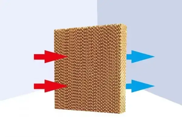 Bộ tấm làm mát bay hơi hiệu quả cho hệ thống làm mát trong trại nuôi gia cầm hình ảnh 12-description