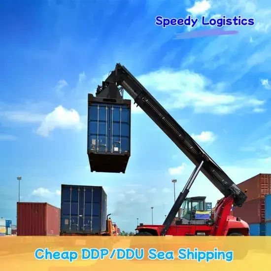 Dịch vụ vận chuyển biển FCL/LCL đến Alegria, Mỹ, Morocco, Pakistan DDP/DDU tại đại lý