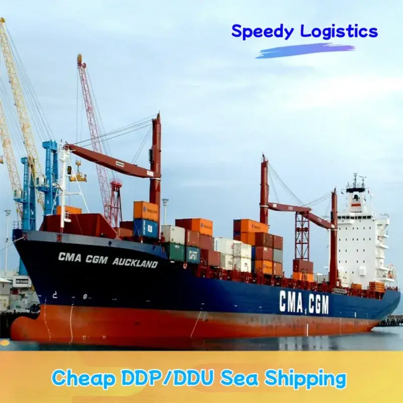 Dịch vụ vận chuyển biển FCL/LCL đến Alegria, Mỹ, Morocco, Pakistan DDP/DDU tại đại lý
