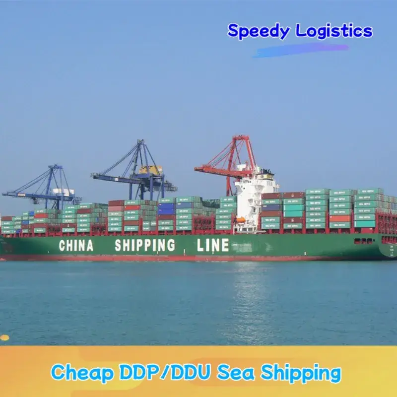 Dịch vụ vận chuyển biển FCL/LCL đến Alegria, Mỹ, Morocco, Pakistan DDP/DDU tại đại lý