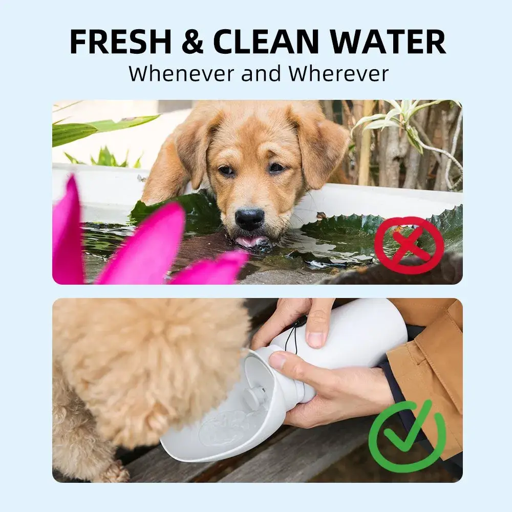 Bát chó silicone an toàn thực phẩm, tiện lợi và gọn nhẹ cho chó khi đi ra ngoài