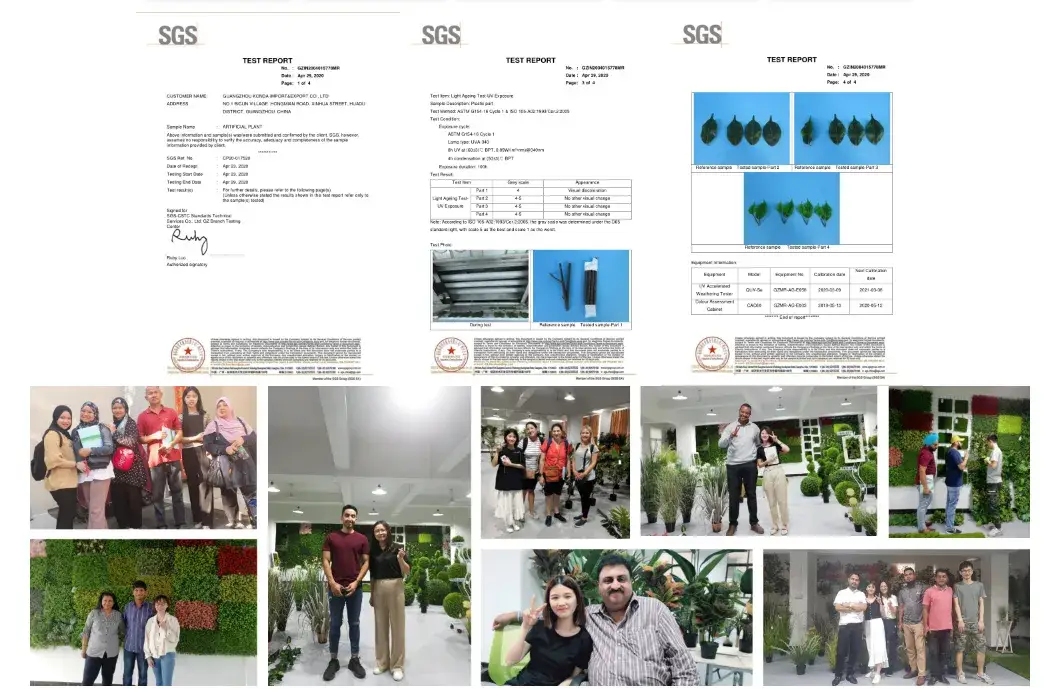 Cây cảnh thường xanh trang trí topiary chất lượng từ nguồn gốc trực tiếp hình ảnh 18-description