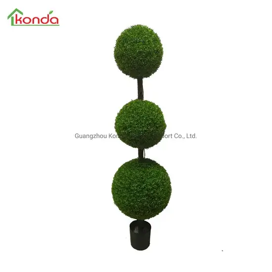 Cây cảnh thường xanh trang trí topiary chất lượng từ nguồn gốc trực tiếp