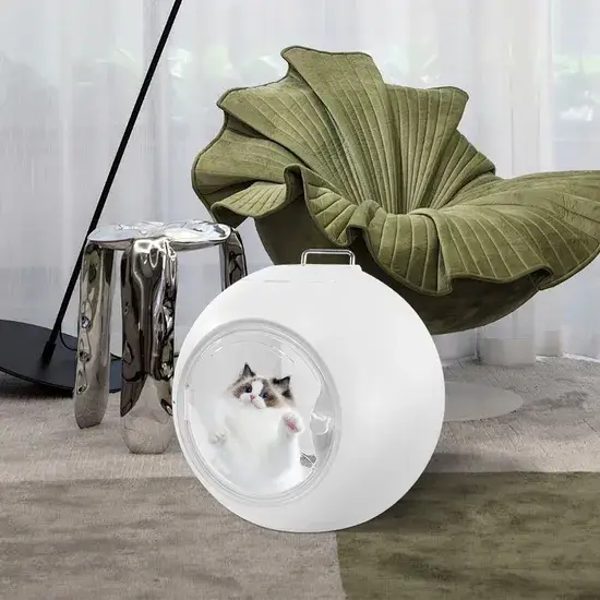 Máy thổi hộp tự động chăm sóc thú cưng di động - Giá tốt, chuyên nghiệp và tự làm sạch