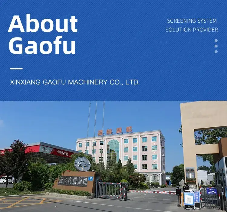 Nhà máy SS 304: Máy vận chuyển vít nghiêng xoắn ốc chất lượng cao cho ngành sản xuất bột thực phẩm
