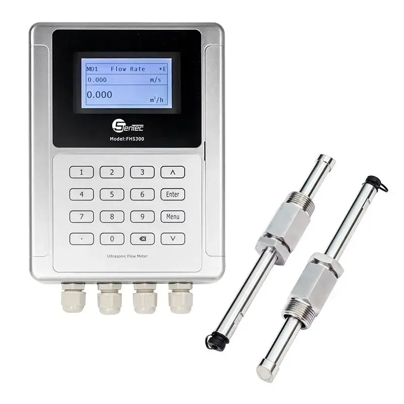 Đồng hồ đo lưu lượng siêu âm Fhs300 - Hiển thị số, kích thước lớn, lắp đặt dễ dàng