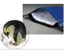 Cách nhiệt nhanh cho tủ đông công nghiệp - Lựa chọn cửa cuốn linh hoạt hình ảnh 14-description