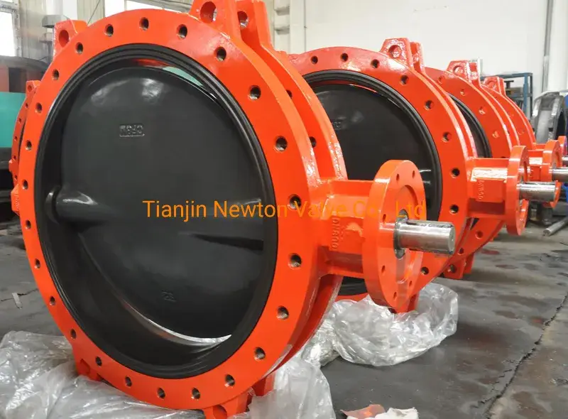 Van bướm hai mặt phẳng kiểu U niêm phong OEM/ODM, có lớp lót PFA, sản xuất tại Trung Quốc - Đảm bảo chất lượng cao hình ảnh 15-description