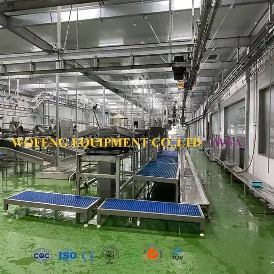 Máy mổ cừu miễn phí dành cho thiết bị máy mổ dê và lò làm thịt