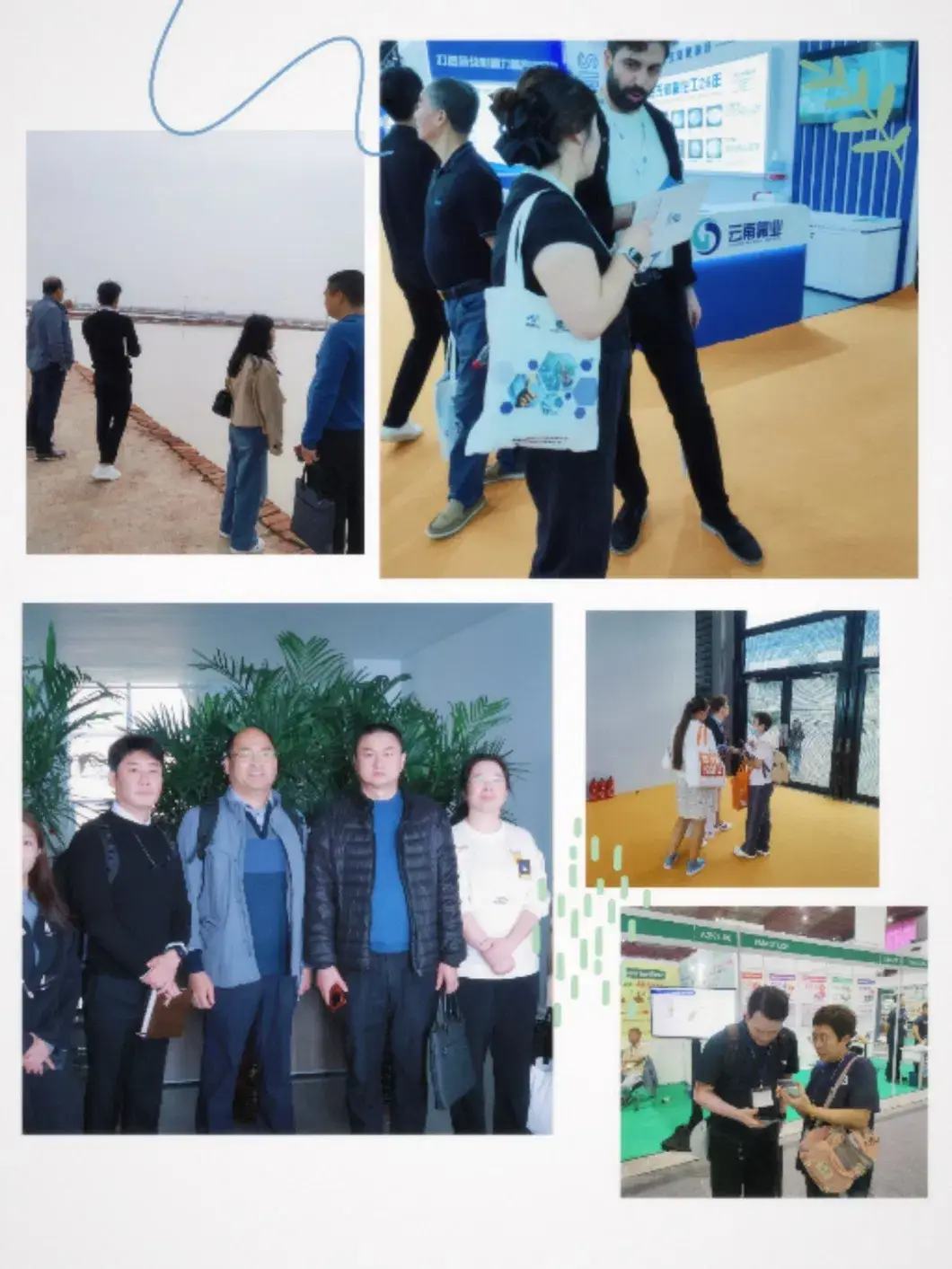 Mẫu canxi sunfat khan chất lượng cao, đạt tiêu chuẩn công nghiệp miễn phí vận chuyển hình ảnh 23-description
