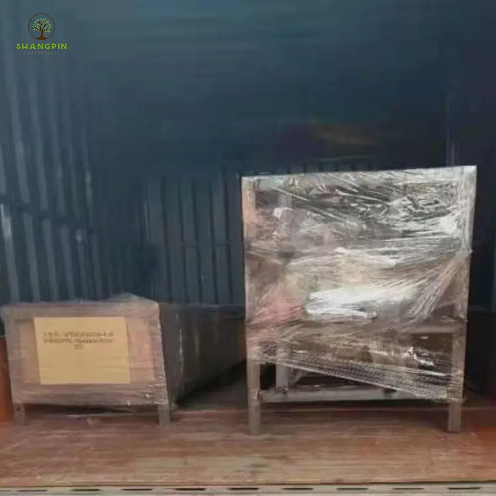 Cây cọ giả lớn miễn phí: Lựa chọn tốt cho không gian trong nhà và ngoài trời hình ảnh 17-description