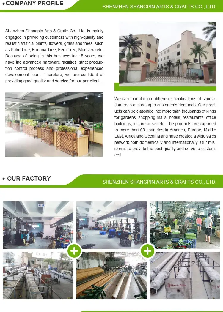 Cây cọ giả lớn miễn phí: Lựa chọn tốt cho không gian trong nhà và ngoài trời hình ảnh 20-description