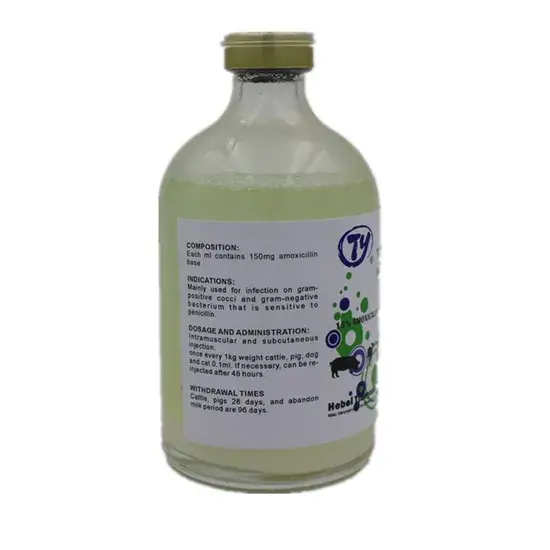 Thuốc thú y tiêm Amoxicillin 15% 20% chuyên dụng cho chó nuôi cừu, sản xuất theo tiêu chuẩn GMP chống vi khuẩn nhiễm khuẩn