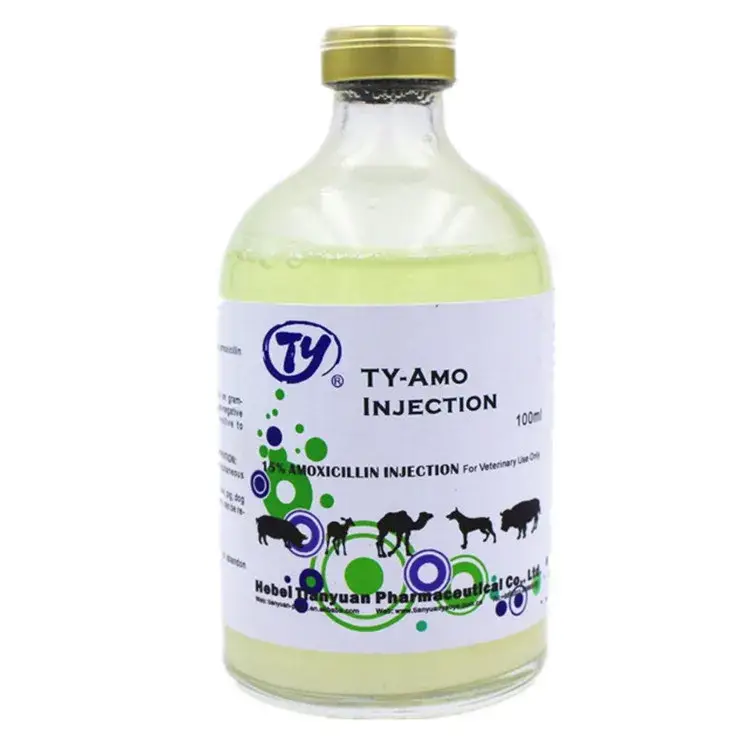 Thuốc thú y tiêm Amoxicillin 15% 20% chuyên dụng cho chó nuôi cừu, sản xuất theo tiêu chuẩn GMP chống vi khuẩn nhiễm khuẩn