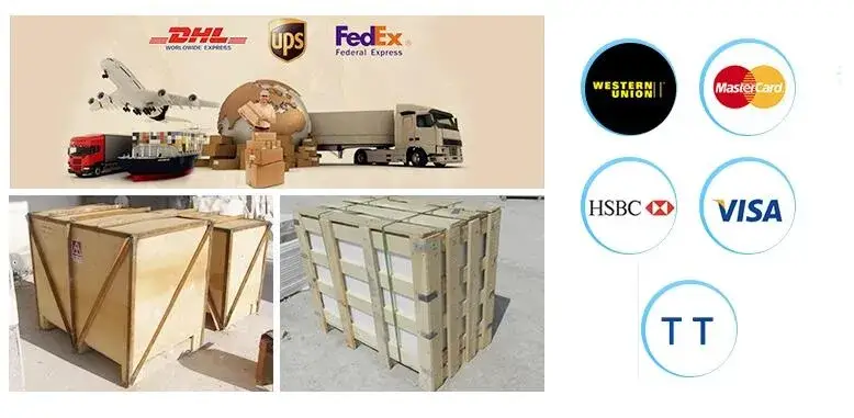Tượng điêu khắc thép không gỉ lớn, phong cách trang trí cho không gian sân vườn hình ảnh 16-description