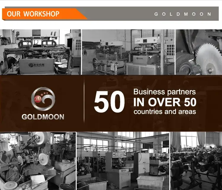Cưa xích không dây Goldmoon chạy bằng nhiên liệu xăng hình ảnh 20-description