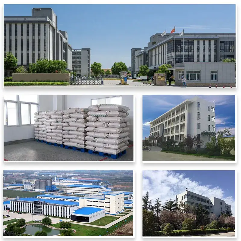 Bột giấm táo hữu cơ Goodchem Factory: Nguyen liệu từ thảo dược chống lão hóa và hỗ trợ giảm cân