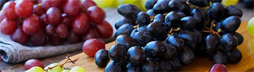 Ốp che nắng vải bạt nhựa trong suốt cho bàn, nho, anh đào và vườn trồng cây ăn trái hình ảnh 19-description