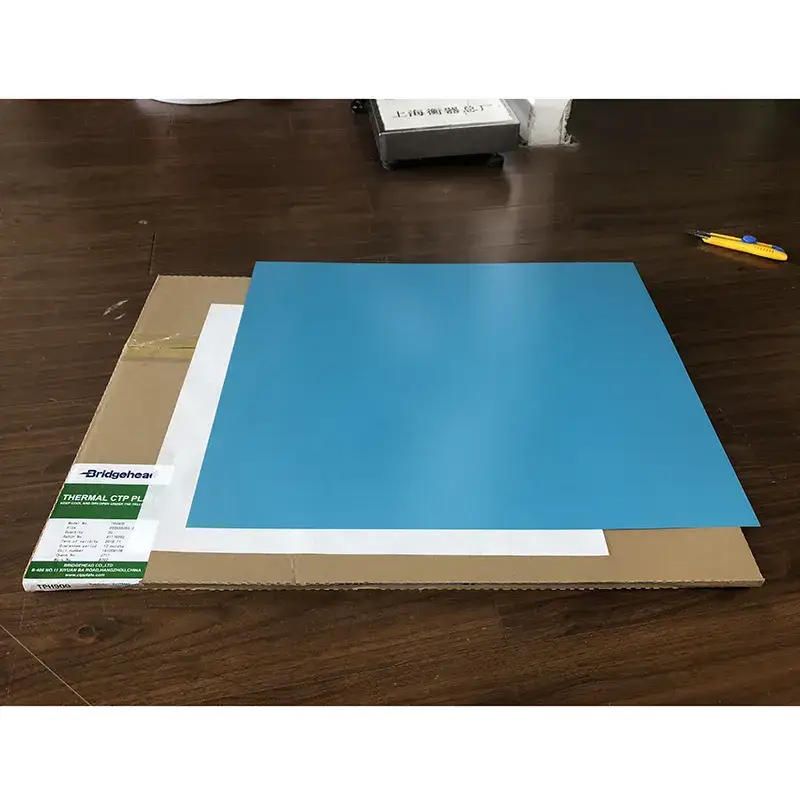 Bảng âm xanh Conting CTP Violet - Sự lựa chọn hoàn hảo cho việc chơi nhạc