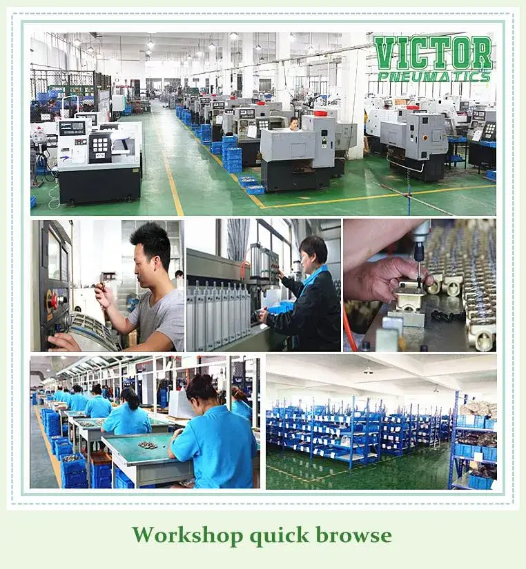 Máy rung tuabin khí Gt Series và Máy rung bánh răng Gt40: Sự lựa chọn hoàn hảo cho công việc của bạn hình ảnh 15-description