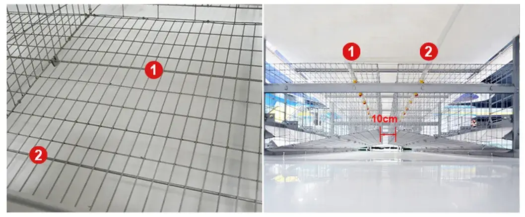 Thiết bị cage gà tự động tiện lợi, loại H được phân phối hình ảnh 16-description