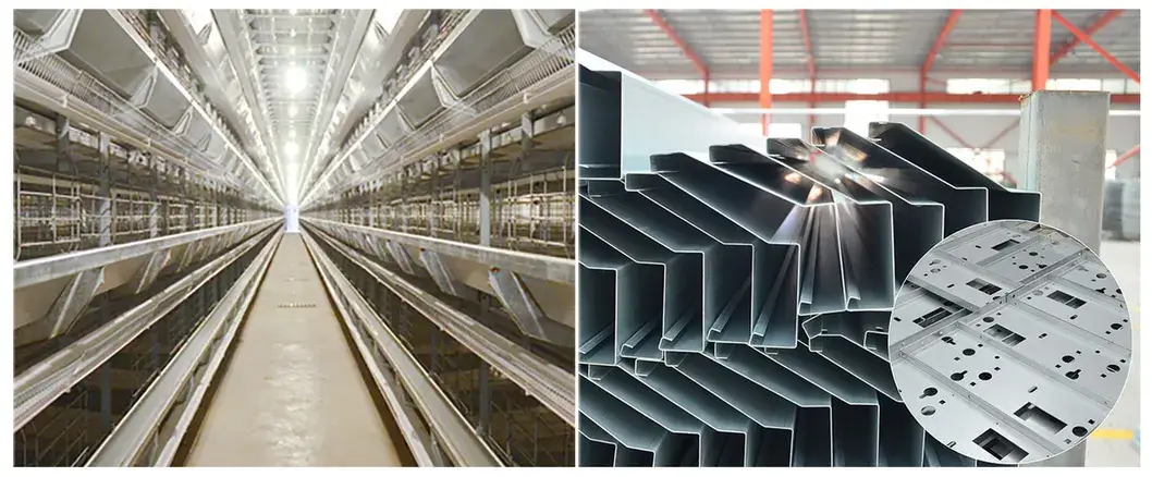 Thiết bị cage gà tự động tiện lợi, loại H được phân phối hình ảnh 15-description