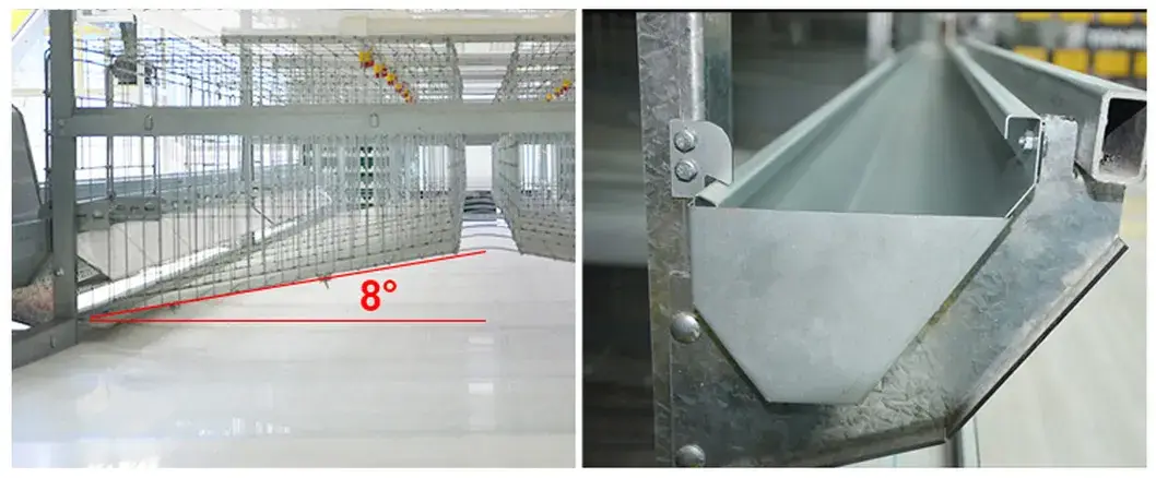 Thiết bị cage gà tự động tiện lợi, loại H được phân phối hình ảnh 17-description