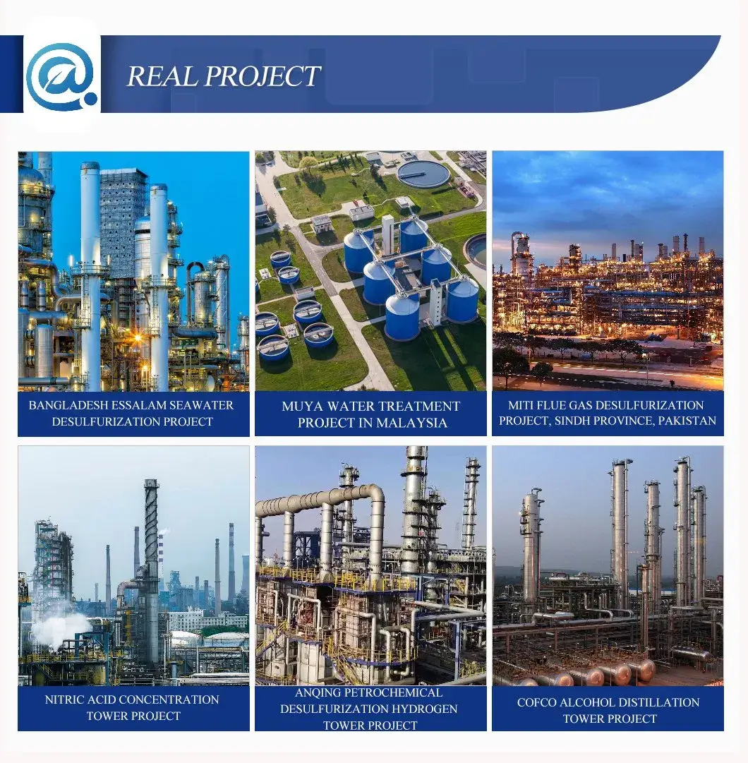 Vòng nhựa PVDF chống nhiệt cho ứng dụng tháp hấp thụ hiệu quả hình ảnh 21-description