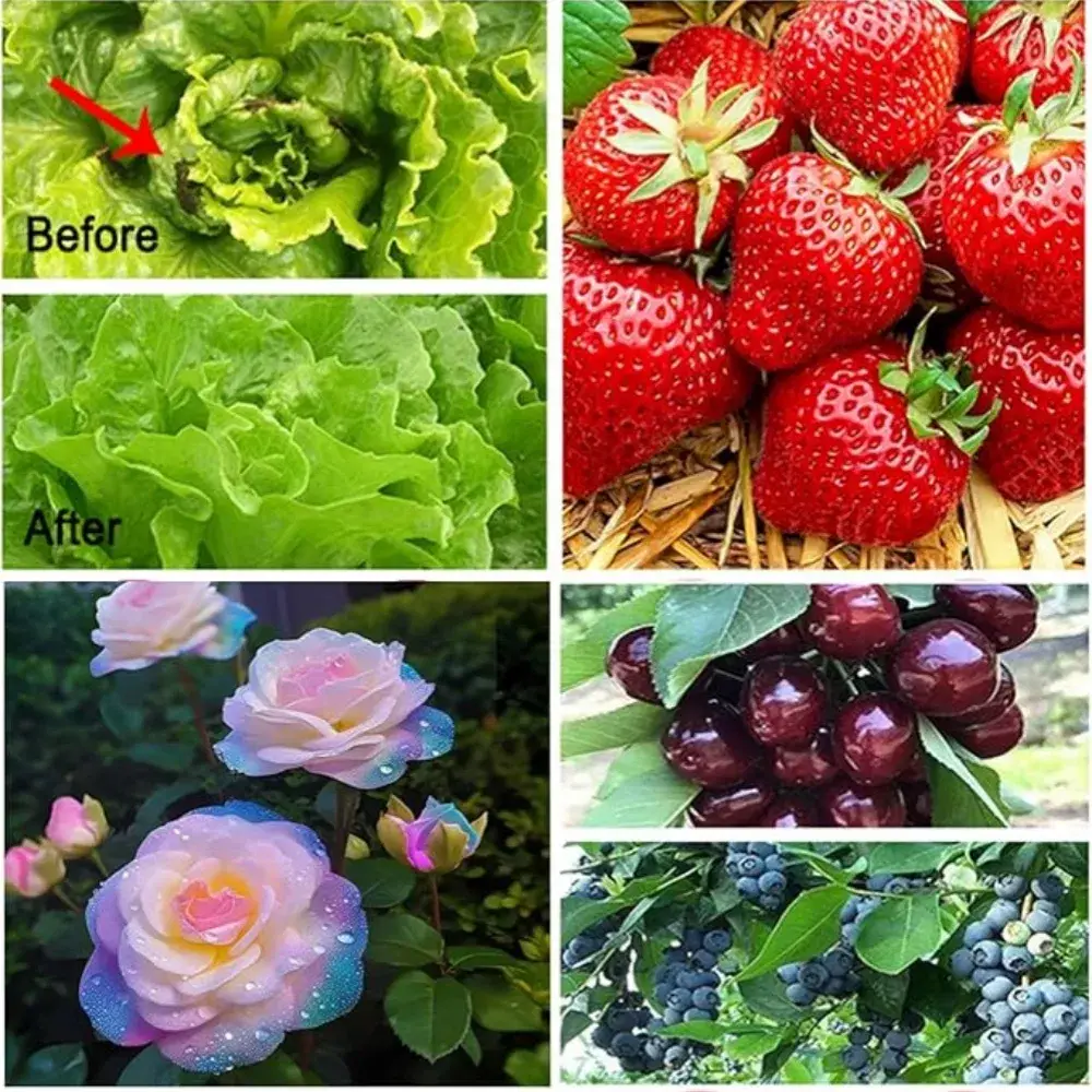 Mạng chống sâu bọ với khả năng thông thoáng cho vườn trong nhà và ngoài trời hình ảnh 13-description