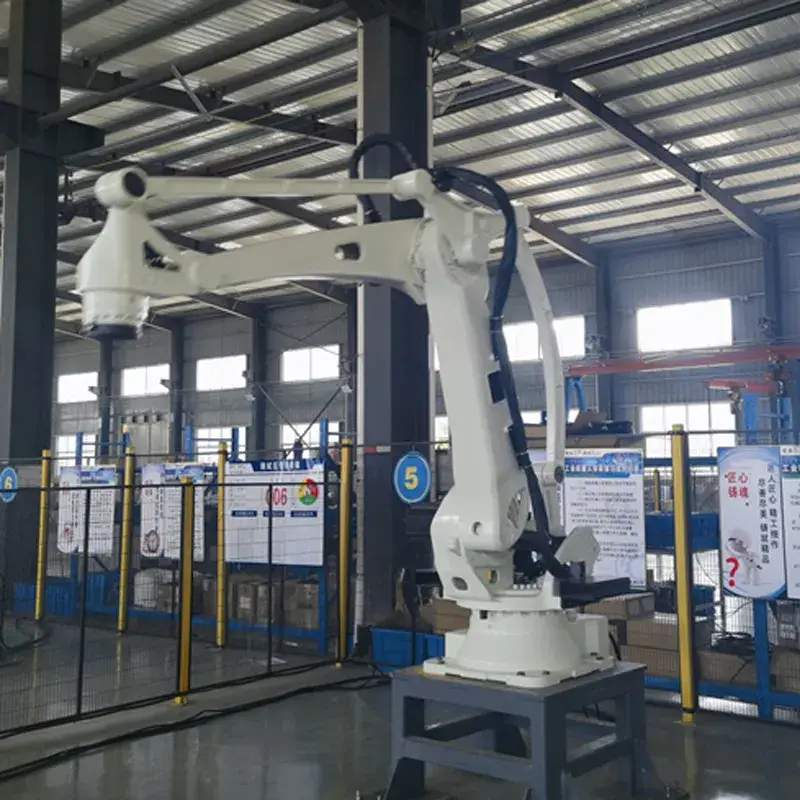 Cần cẩu Palletizing hiệu suất cao, không gian tải 60kg đa dạng hình ảnh 20-description