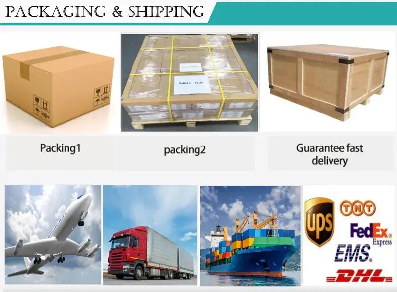 Máy sấy tóc có chứng nhận CE với bộ điều chỉnh nhiệt độ và bảo vệ nhiệt độ cao cấp hình ảnh 21-description