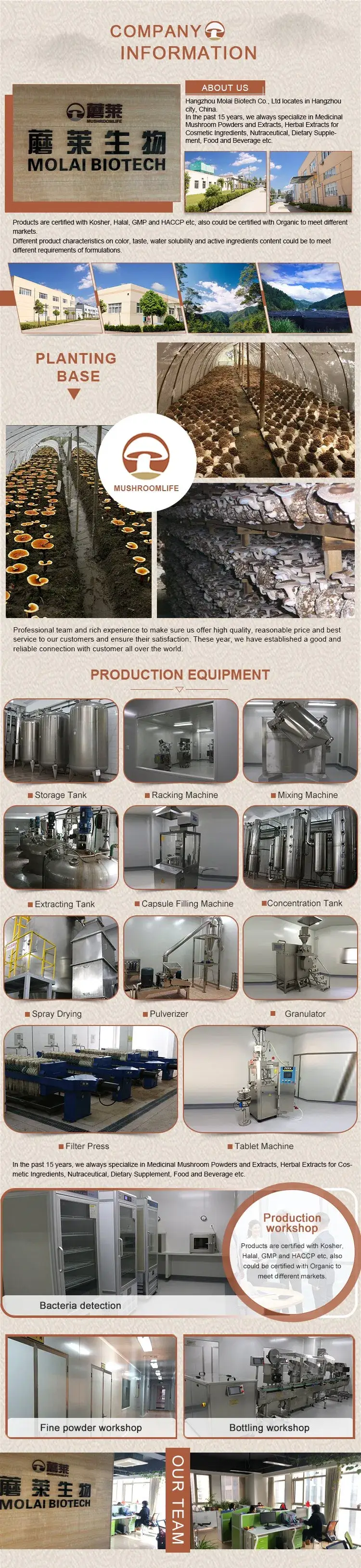 Bột nấm chứng nhận ISO, chiết xuất phức hợp Chaga chất lượng cao hình ảnh 19-description