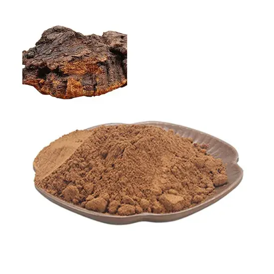 Bột nấm chứng nhận ISO, chiết xuất phức hợp Chaga chất lượng cao