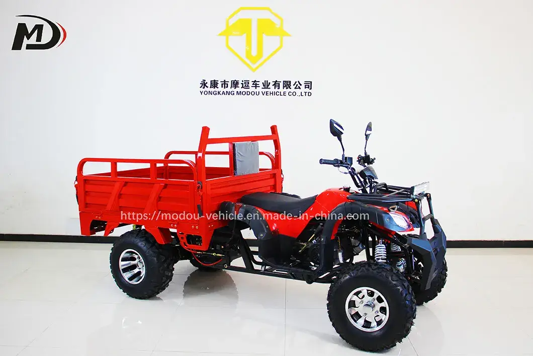 Xe ATV 2 Bánh Chất Lượng Cao, Trả Trơn, Động Cơ Xăng Cho Nông Trại Nhỏ hình ảnh 19-description