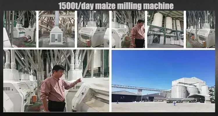 Thiết bị phay tự động cho sản xuất công nghiệp - Sản phẩm của Nhà máy Xử lý ngô Hồng Kông hình ảnh 17-description
