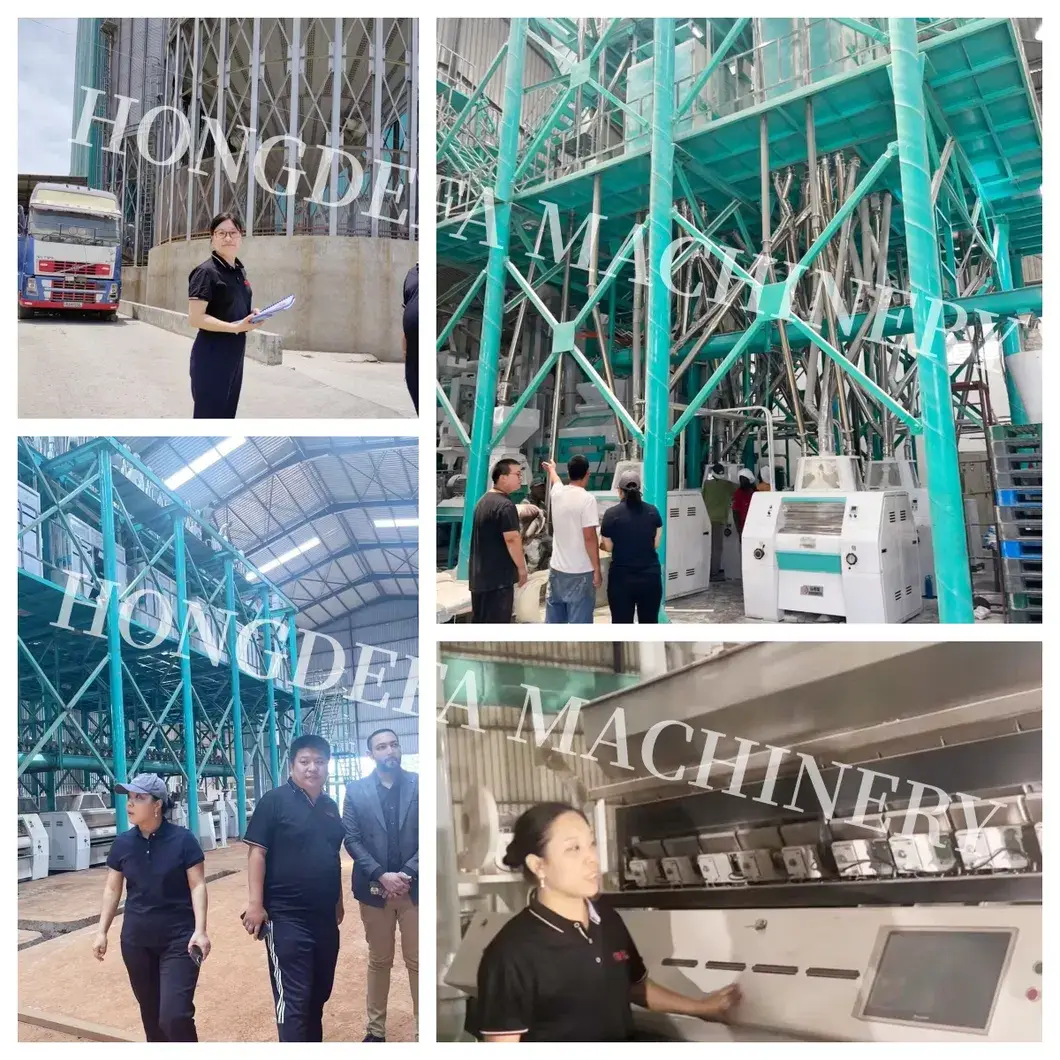 Thiết bị phay tự động cho sản xuất công nghiệp - Sản phẩm của Nhà máy Xử lý ngô Hồng Kông hình ảnh 19-description