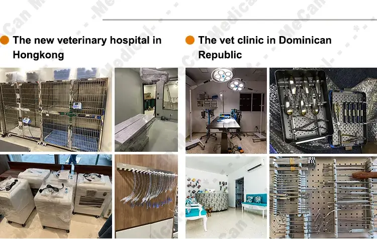 Bơm tiêm y tế chất lượng cao dành cho các tác nhân trong môi trường y tế thú y hình ảnh 20-description