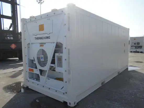 20 Giá Container Lạnh Mới: Bán Nóng Trái Cây/Rau Củ Tươi Gà Cá Thịt Theo Tiêu Chuẩn ISO hình ảnh 1-description