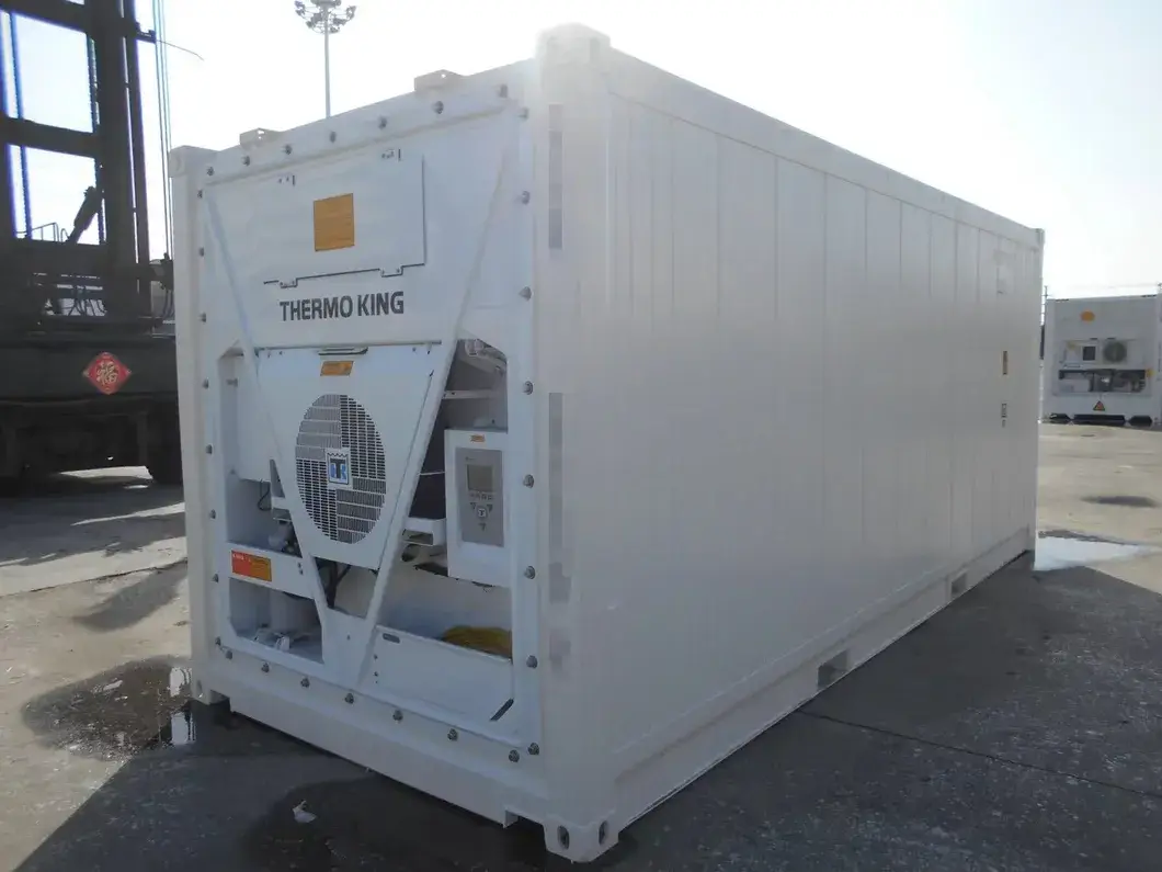 20 Giá Container Lạnh Mới: Bán Nóng Trái Cây/Rau Củ Tươi Gà Cá Thịt Theo Tiêu Chuẩn ISO hình ảnh 21-description