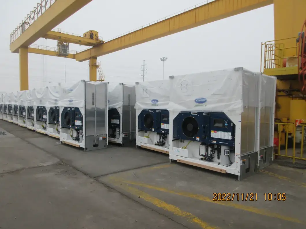 20 Giá Container Lạnh Mới: Bán Nóng Trái Cây/Rau Củ Tươi Gà Cá Thịt Theo Tiêu Chuẩn ISO hình ảnh 18-description