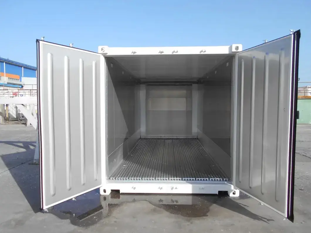 20 Giá Container Lạnh Mới: Bán Nóng Trái Cây/Rau Củ Tươi Gà Cá Thịt Theo Tiêu Chuẩn ISO hình ảnh 23-description