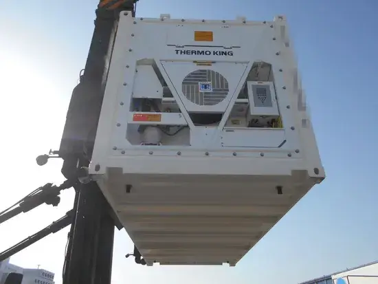 20 Giá Container Lạnh Mới: Bán Nóng Trái Cây/Rau Củ Tươi Gà Cá Thịt Theo Tiêu Chuẩn ISO