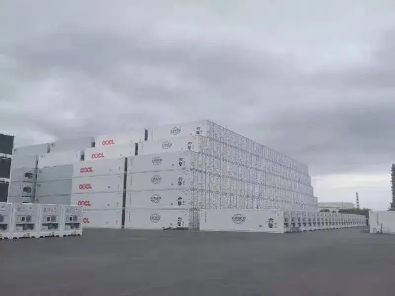 20 Giá Container Lạnh Mới: Bán Nóng Trái Cây/Rau Củ Tươi Gà Cá Thịt Theo Tiêu Chuẩn ISO hình ảnh 20-description